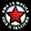 AMA LA MUSICA - ODIA IL FASCISMO (liebe die musik - hasse den faschismus)